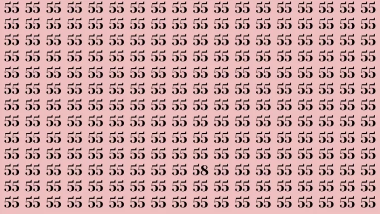 Observation Brain Test: If you have Keen Eyes Find the Number 58 in 15 Secs