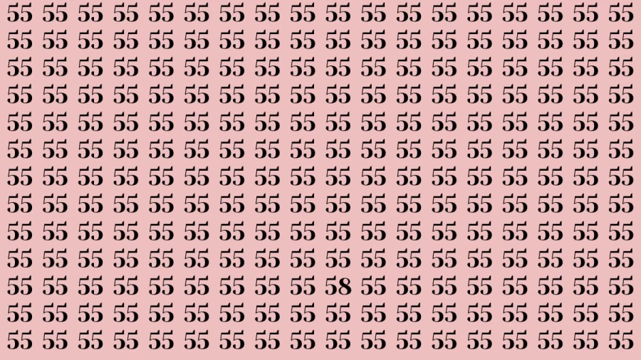 Observation Brain Test: If you have Keen Eyes Find the Number 58 in 15 Secs