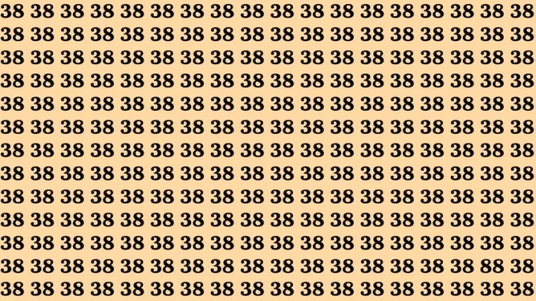 Observation Brain Test: If you have 50/50 vision find the Number 88 in 15 Seconds