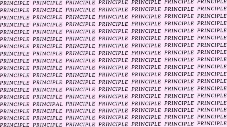 Observation Skill Test: If you have Eagle Eyes find the Word Principal among Principle in 15 Secs