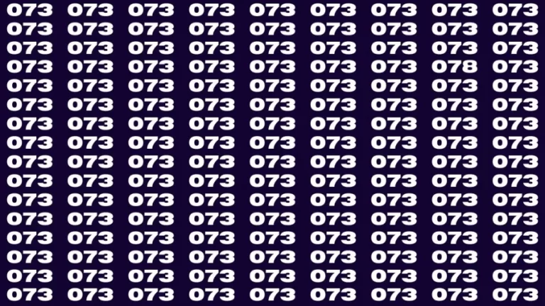 Observation Brain Test: If you have Keen Eyes Find the Number 078 among 073 in 15 Secs