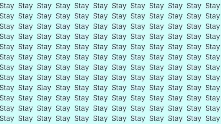 Observation Skill Test: If you have Sharp Eyes find the Word Slay among Stay in 20 Secs