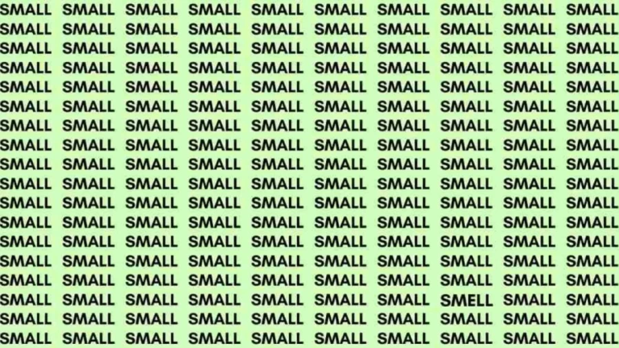 Observation Skill Test: If you have Eagle Eyes find the Word Smell among Small in 12 Secs