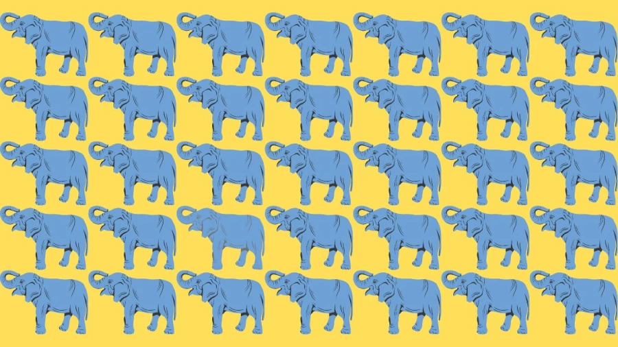 Brain Teaser Eye Test: Can you Spot the Odd One Out in this Image? Picture Puzzle