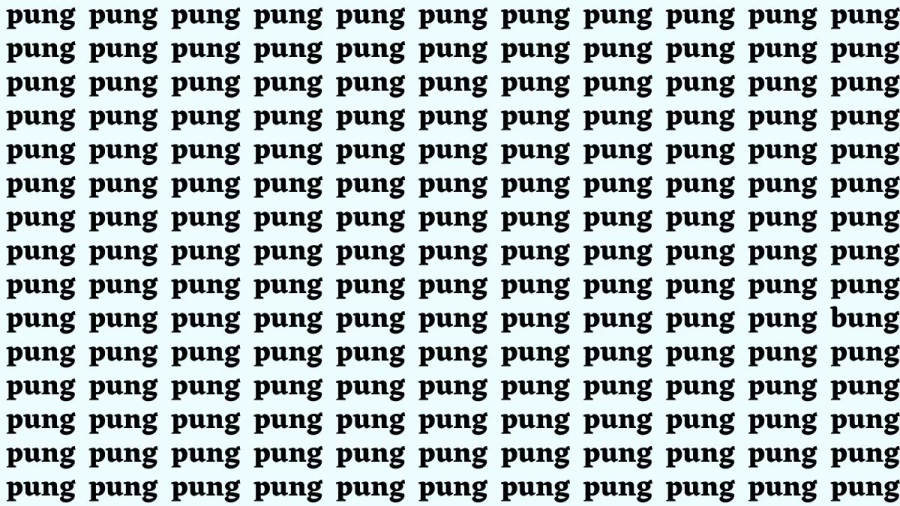 Brain Test: If you have Sharp Eyes Find the Word Bung among Pung in 15 Secs