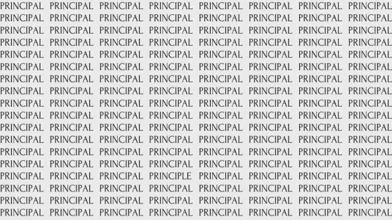 Observation Skill Test: If you have Eagle Eyes find the Word Principle among Principal in 05 Secs