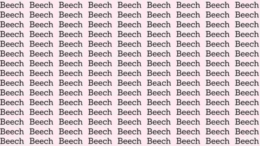 Observation Skill Test: If you have Eagle Eyes find the word Beach among Beech in 8 Secs