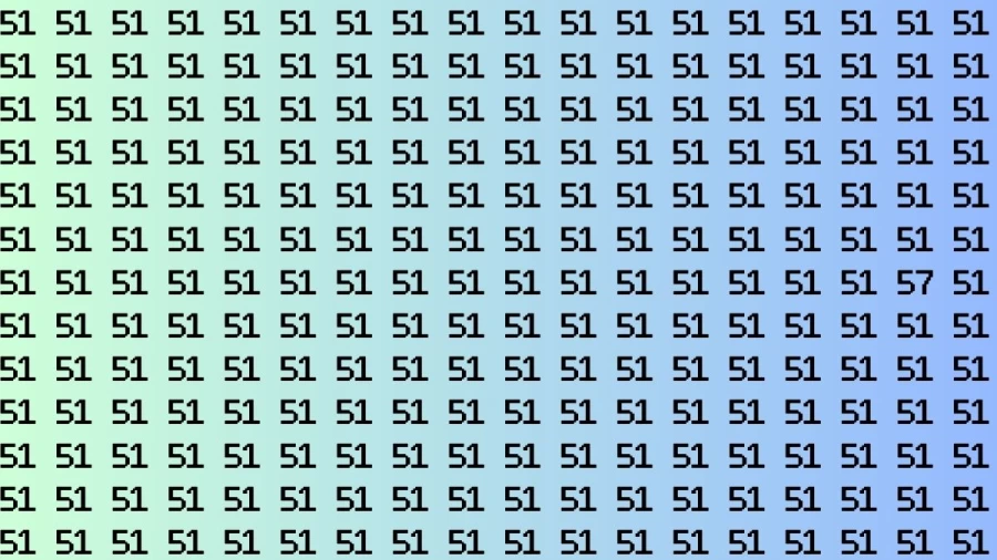 Observation Brain Test: If you have Keen Eyes Find the Number 57 among 51 in 15 Secs