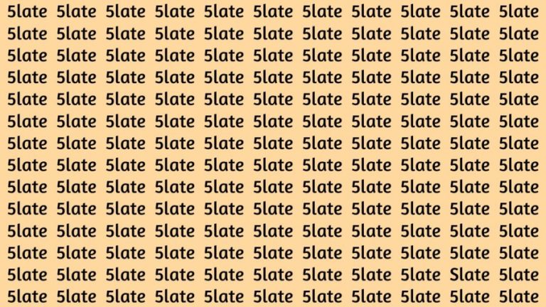 Brain Teaser: If you have Hawk Eyes Find the Word Slate in 15 Secs