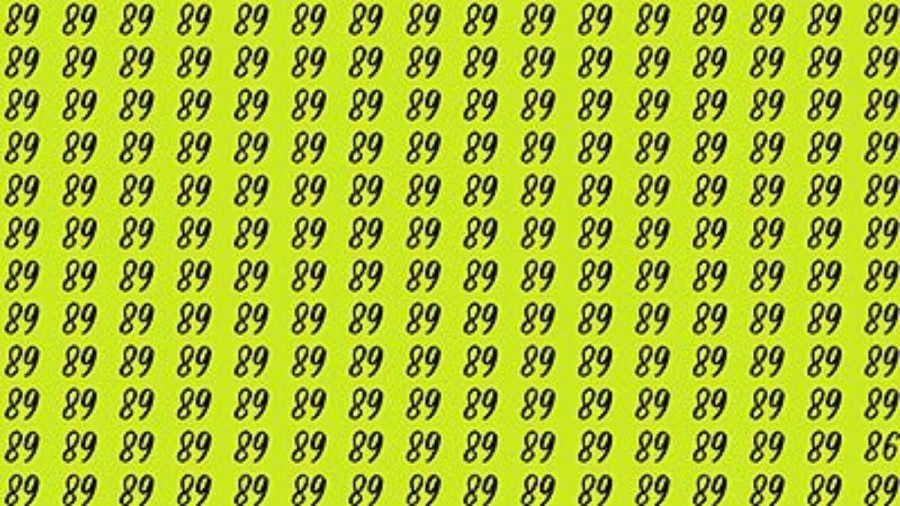 Observation Brain Test: If you have Keen Eyes Find the Number 86 namong 89 in 15 Secs