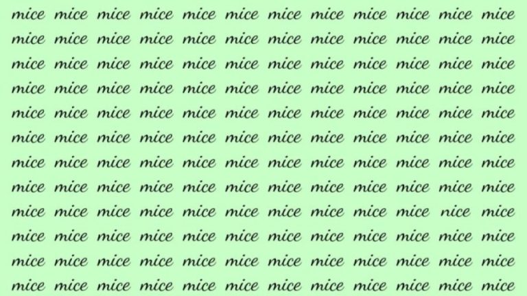 Observation Brain Test: If you have Hawk Eyes find the Word Nice among Mice in 20 Secs