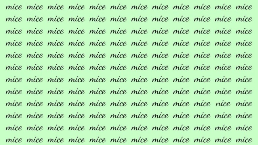 Observation Brain Test: If you have Hawk Eyes find the Word Nice among Mice in 20 Secs