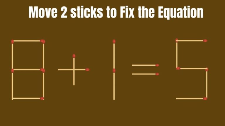 Brain Teaser: Can you Move 2 Sticks and Fix this Equation 8+1=5?