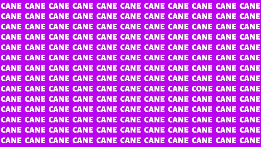 Brain Teaser: If you have Hawk Eyes Find the Word Cone among Cane in 15 Secs