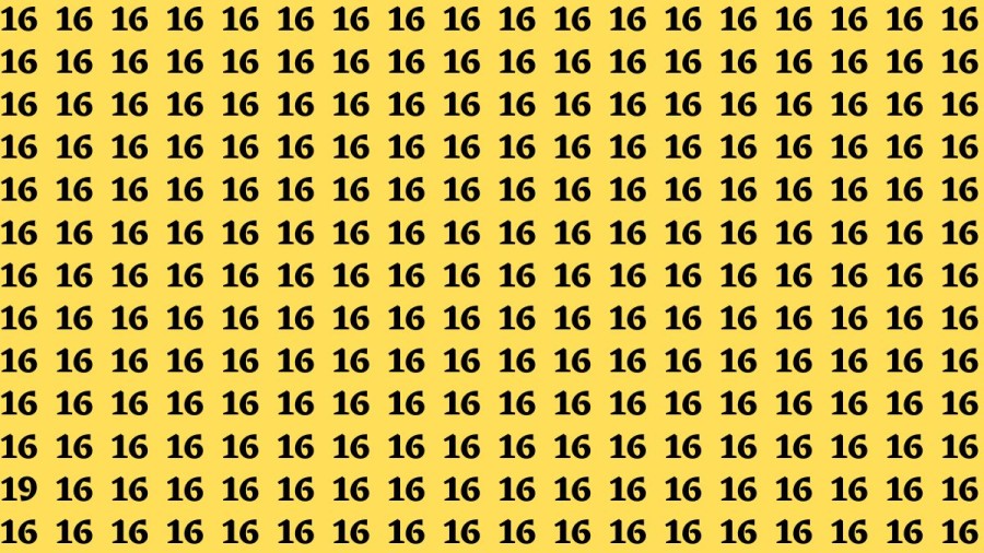 Find and Seek: If you have Hawk Eyes Find the Number 19 among 16 in 20 Secs