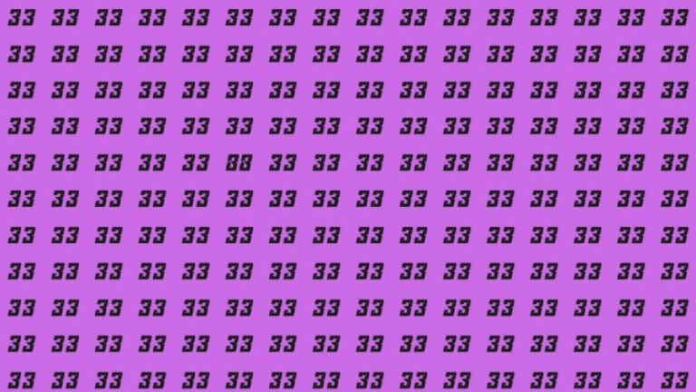 Observation Skill Test: Can you find the number 88 among 33 in 10 seconds?