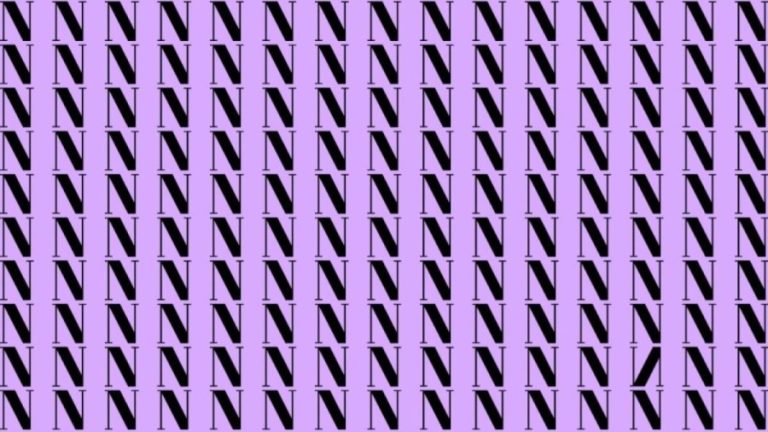 Optical Illusion: If you have Hawk Eyes find the Inverted N in the picture within 20 Secs