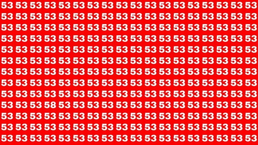 Observation Skills Test: If you have Eagle Eyes Find the Number 58 among 53 in 12 Secs