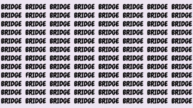 Optical Illusion: If you have Eagle Eyes find the Word Fridge among Bridge in 20 Secs