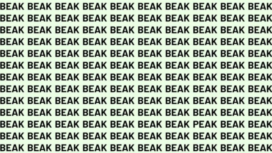 Optical Illusion: If you have Hawk Eyes find the Word Peak among Beak in 15 Secs