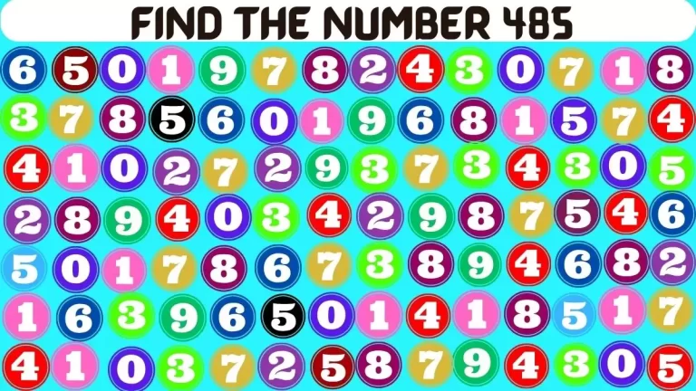 Are you smart enough to Find the Number 485 in 10 Secs