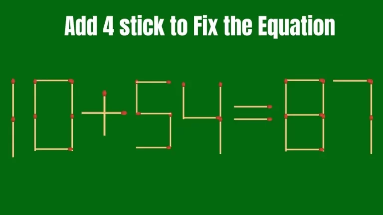 Brain Teaser: Add 4 Matchsticks and Fix this Equation 10+54=87 | Tricky Matchstick Puzzle