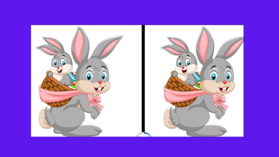 Brain Teaser Eye Test: Can You Spot 5 Differences Between These Two Images in 30 Seconds?