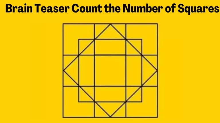 Brain Teaser Eye Test: Count the Number of Squares in this Image