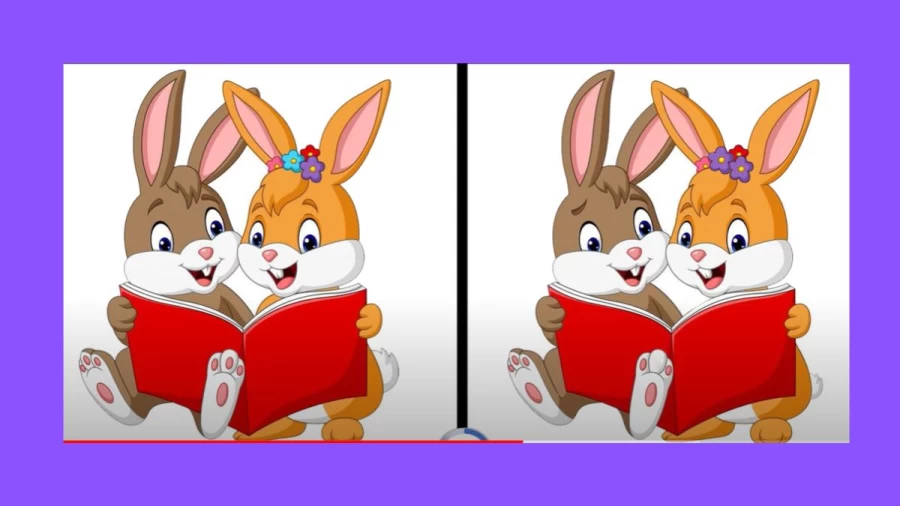 Brain Teaser: How Many Differences Can You Spot Between These Two Pictures?