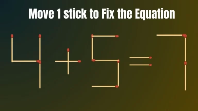 Brain Teaser: Move 1 Stick to fix the Equation 4+5=7 in 30 Seconds || Brilliant Matchstick Puzzle