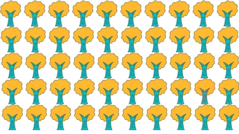 Brain Teaser Picture Puzzle: Can you spot the Odd Tree in this Image in 10 Secs?