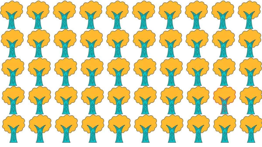 Brain Teaser Picture Puzzle: Can you spot the Odd Tree in this Image in 10 Secs?