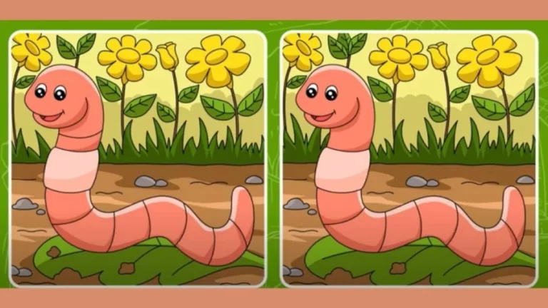 Brain Teaser Spot the Difference Game: Can you Spot 5 differences in 25 secs?