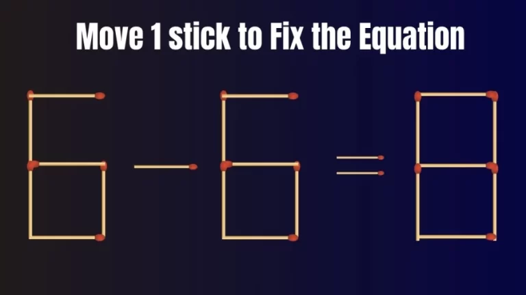 Brain Test: 6-6=8 Move 1 Matchstick To Fix The Equation | Matchstick Puzzle