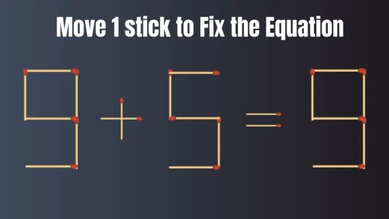 Brain Test: 9+5=9 Move 1 Matchstick To Fix The Equation | Matchstick Puzzle