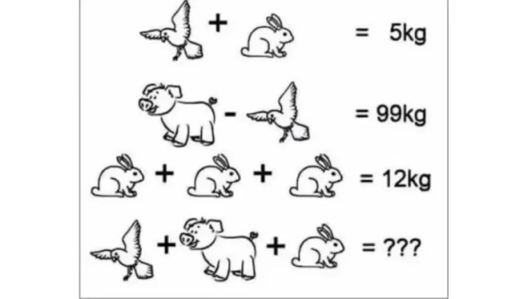 Brain Test: Can you solve this math brain teaser? Maths Puzzle