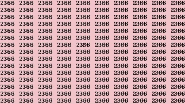 Can You Spot 2356 among 2366 in 30 Seconds? Explanation And Solution To The Optical Illusion