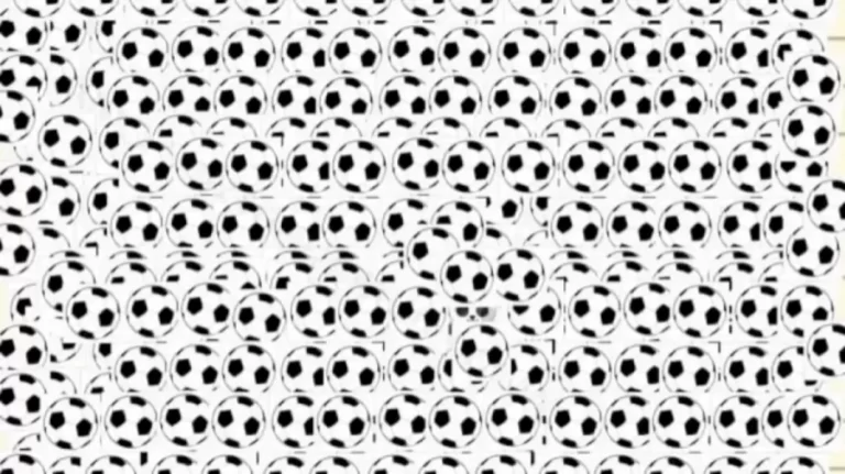 Can You Spot the Hidden Panda Among the Balls? Explanation and Solution to the Optical Illusion