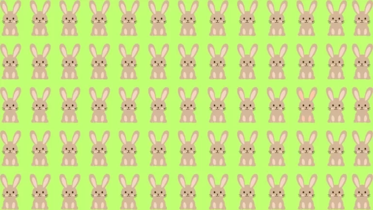 Can you Spot the Odd Rabbit in this Image Within 13 Secs? Explanation and Solution to the Optical Illusion