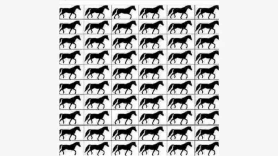 How Good Are Your Eyes? Find Out With This Brain Teaser Puzzle: How Many Horses with 3 Legs?