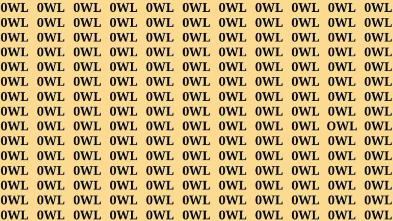 If you have Eagle Eyes Find the Word Owl in 18 Secs | Observation Brain Test