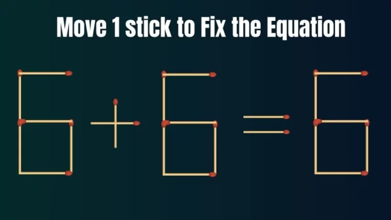 Matchstick Brain Teaser for IQ Test: 6+6=6 Fix The Equation By Moving 1 Stick | Matchstick Puzzle