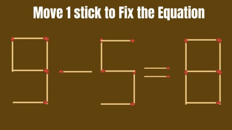 Matchstick Puzzle: 9-5=8 Move 1 Stick and Make the Equation Right | Brain Teaser