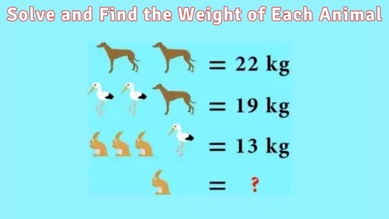 Maths Quiz: Solve and Find the Weight of Each Animal