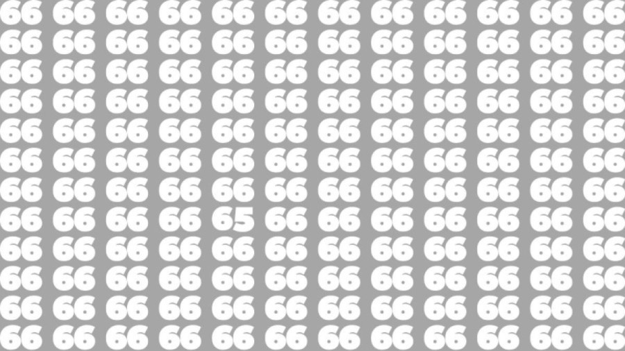 Observation Brain Test: Can you find the number 65 among 66 in 10 seconds?