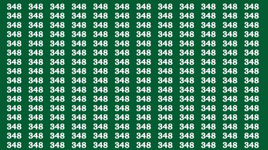 Observation Brain Test: If you have Hawk Eyes Find the Number 848 among 348 in 15 Secs