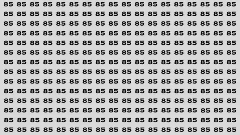 Observation Brain Test: If you have Keen Eyes Find the Number 88 among 85 in 15 Secs