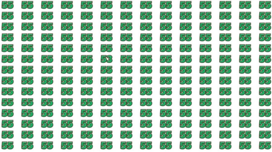 Observation Brain Test : If you have Sharp Eyes Find the Number 53 among 55 in 10 Secs