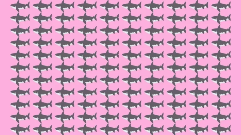 Observation Skill Test: Can you find the Odd Shark in 10 Seconds?