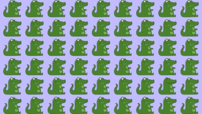 Observation Skill Test: Can you find the odd Crocodile out in the picture within 10 seconds?